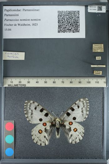 Media type: image;   Entomology 174995